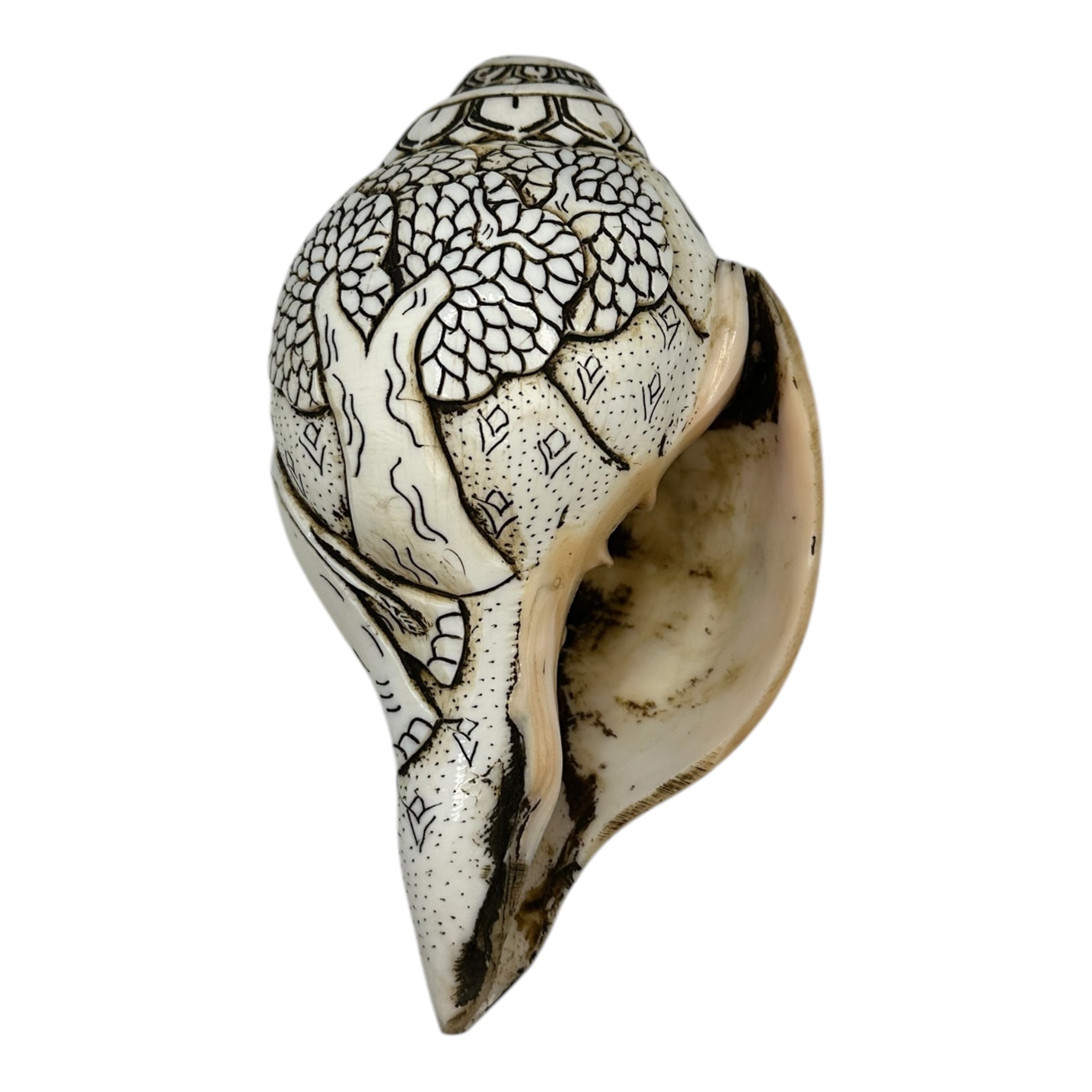 Hand Carved Four Harmonious Friends on shell